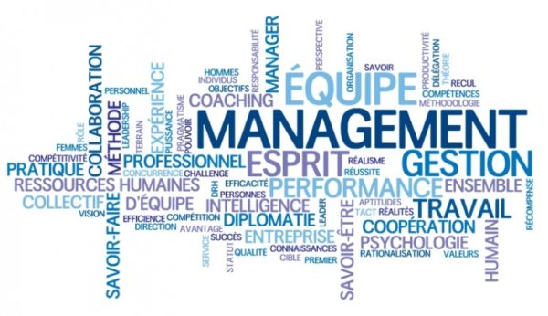 management leadership performance entreprise coaching